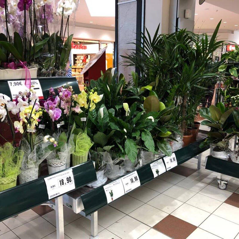 Graphic displays for benches