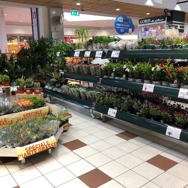 Graphic displays for benches