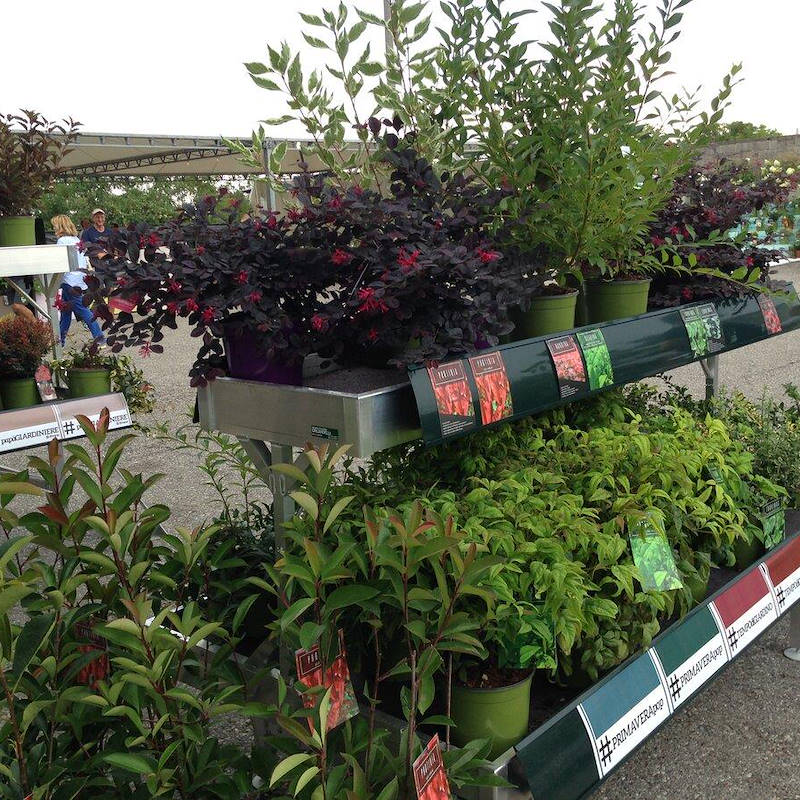 Graphic displays for benches