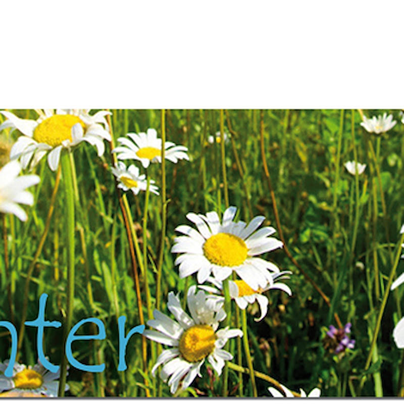 Graphic stand for cabriolet cart