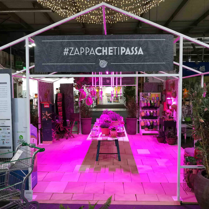 البيت الزجاجي - هوية مركز الحديقة