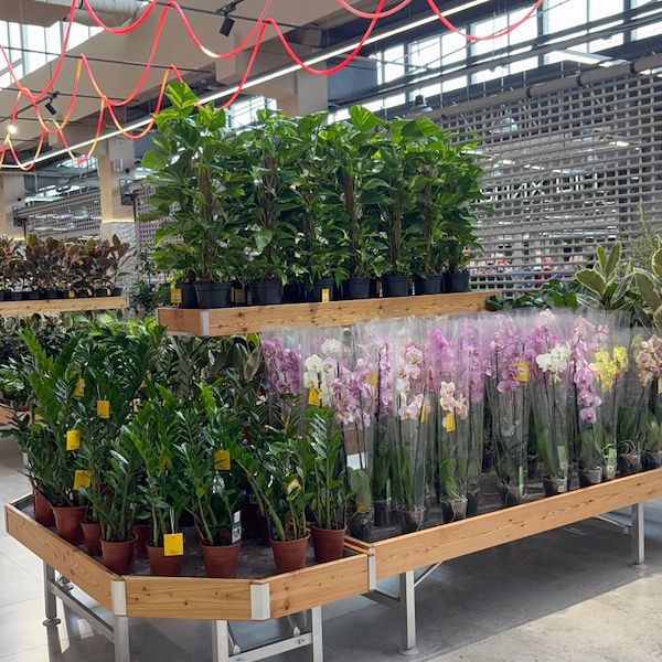 Gurt Flora chooses Orlandelli furniture for its impressive store in Kyiv