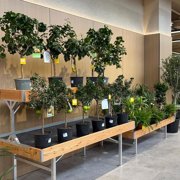 Gurt Flora chooses Orlandelli furniture for its impressive store in Kyiv