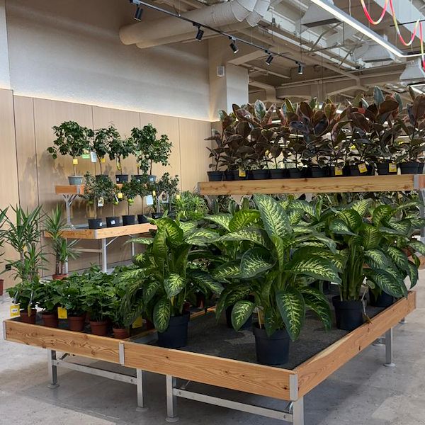 Gurt Flora chooses Orlandelli furniture for its impressive store in Kyiv