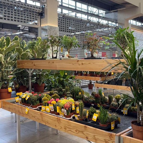 Gurt Flora chooses Orlandelli furniture for its impressive store in Kyiv