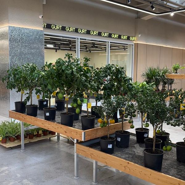 Gurt Flora chooses Orlandelli furniture for its impressive store in Kyiv