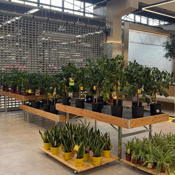 Gurt Flora elige el mobiliario de Orlandelli para su imponente tienda de Kyiv