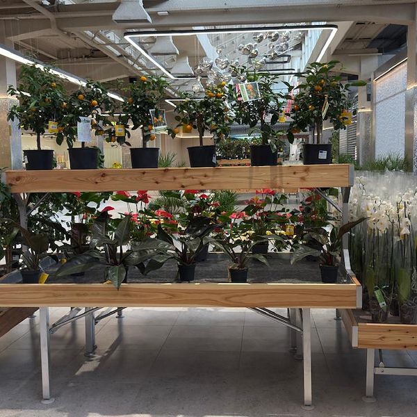 Gurt Flora choisit le mobilier Orlandelli pour son imposant magasin de Kyiv