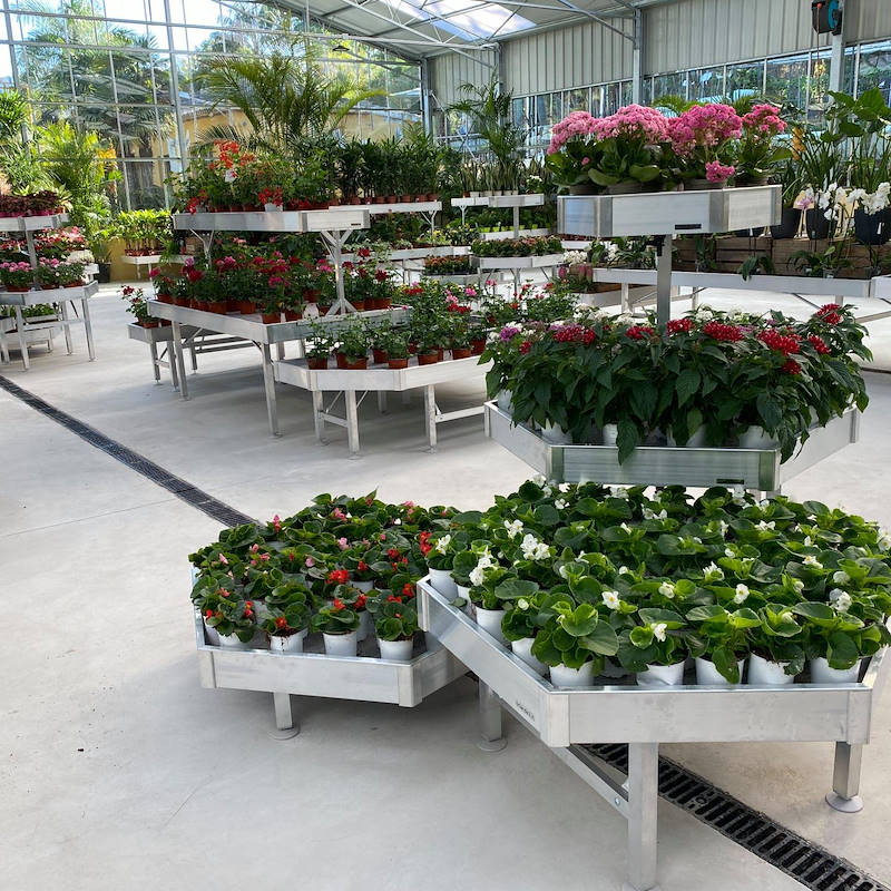 HEXAGONE: set d'exposition