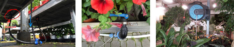 How to manage the irrigation of flowers and plants in a retail store 