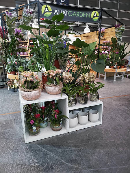 Iberflora 2021: découvrez l'exposition Orlandelli