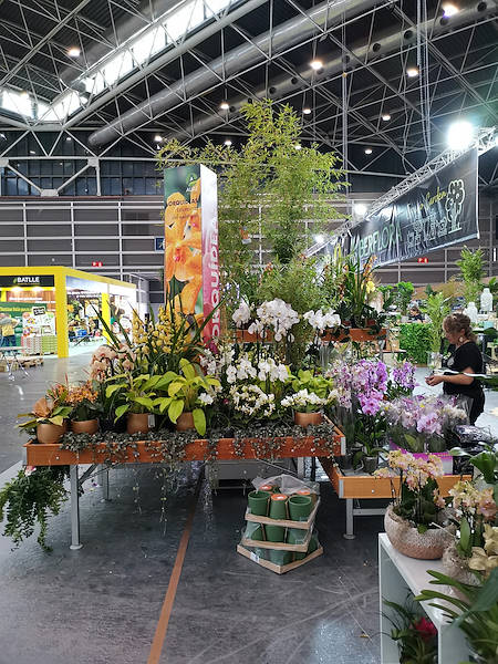 Iberflora 2021: découvrez l'exposition Orlandelli