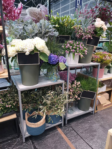 Iberflora 2021: découvrez l'exposition Orlandelli