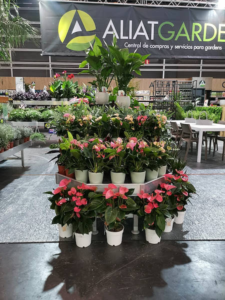 Iberflora 2021: découvrez l'exposition Orlandelli