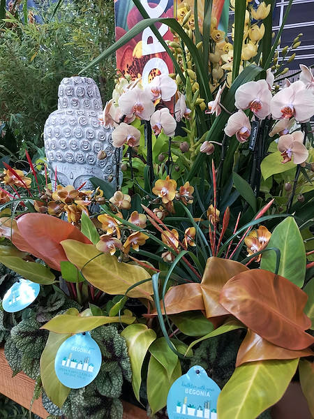 Iberflora 2021: découvrez l'exposition Orlandelli