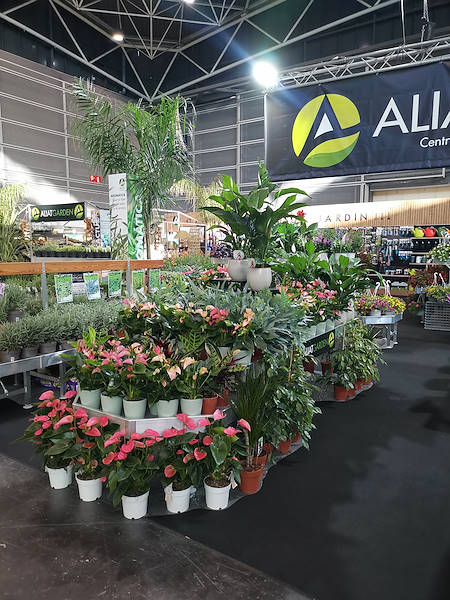 Iberflora 2021: découvrez l'exposition Orlandelli