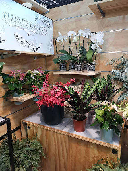 Iberflora 2021: découvrez l'exposition Orlandelli