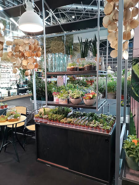 Iberflora 2021: découvrez l'exposition Orlandelli