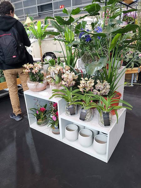 Iberflora 2021: découvrez l'exposition Orlandelli