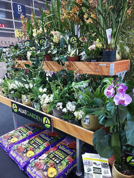 Iberflora 2021: découvrez l'exposition Orlandelli