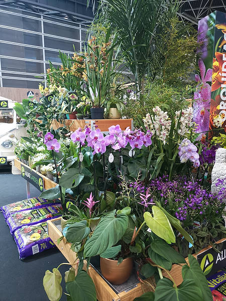 Iberflora 2021: découvrez l'exposition Orlandelli