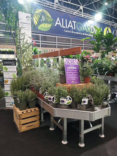 Iberflora 2021: découvrez l'exposition Orlandelli