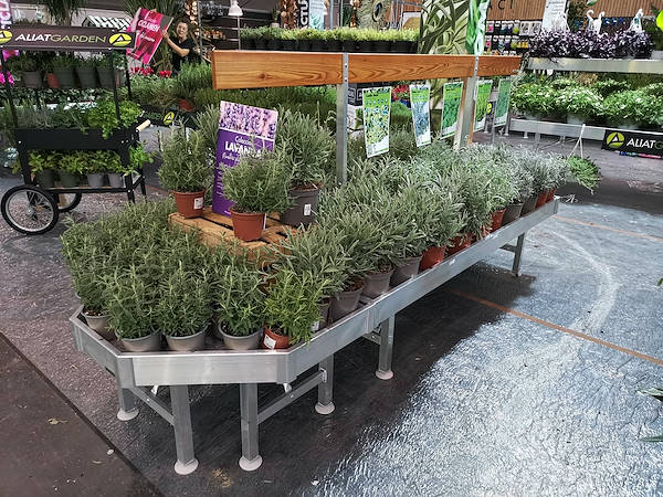 Iberflora 2021: découvrez l'exposition Orlandelli