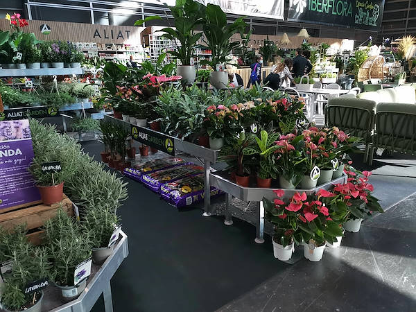 Iberflora 2021: découvrez l'exposition Orlandelli