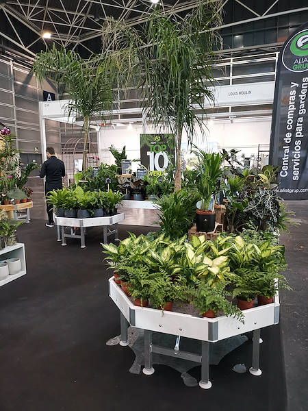 Iberflora 2021: descubre la exposición de Orlandelli por AliatGarden