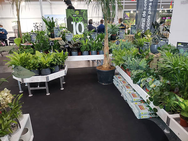 Iberflora 2021: descubre la exposición de Orlandelli por AliatGarden