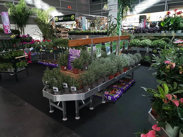 Iberflora 2021: descubre la exposición de Orlandelli por AliatGarden