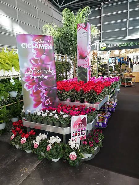 Iberflora 2021: discover the Orlandelli exhibition