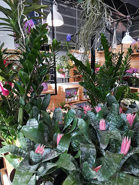 Iberflora 2021: Entdecken Sie die Standausstellung von Orlandelli