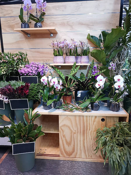Iberflora 2021: scopri l'esposizione Orlandelli