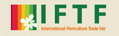 IFTF Holland