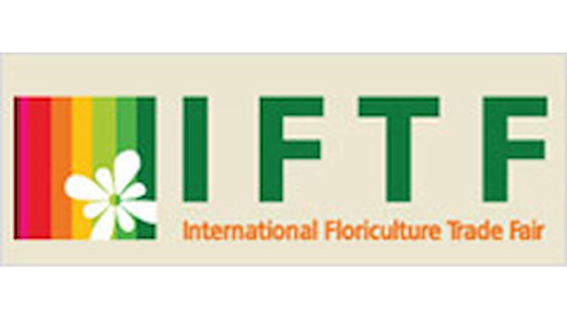 IFTF Olanda