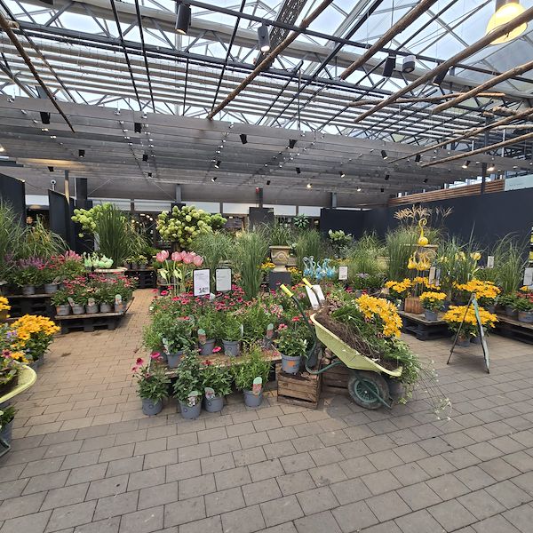 IGCA 2026 Recap: Innovation, Visual Merchandising, and Global Community