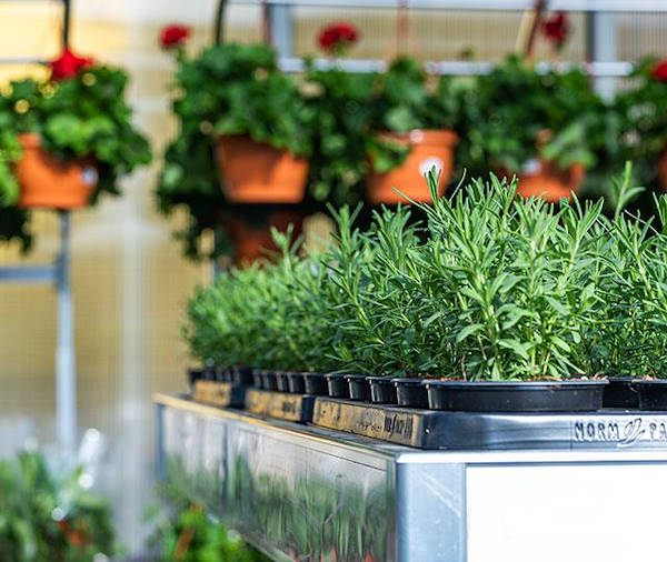 IKEA Lithuania choisit les concepts d'exposition de Orlandelli