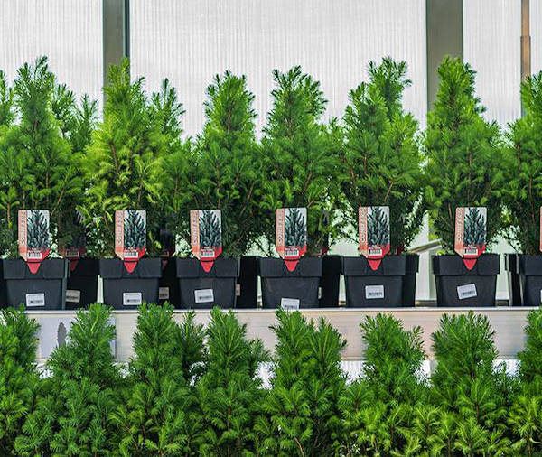 IKEA Lithuania chooses the Orlandelli's exhibition concepts