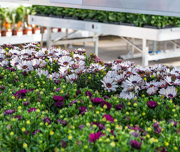 IKEA Lituania elige los conceptos de exhibición de Orlandelli