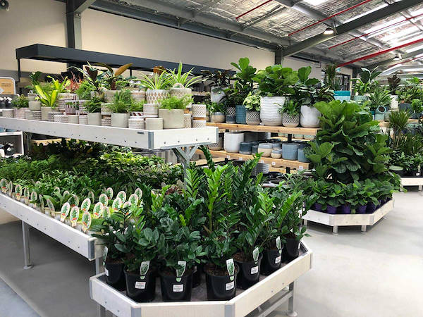 Il nuovo Garden Center Flower Power