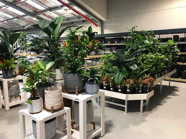 Il nuovo Garden Center Flower Power