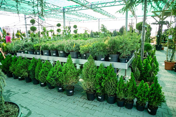 Area esterna