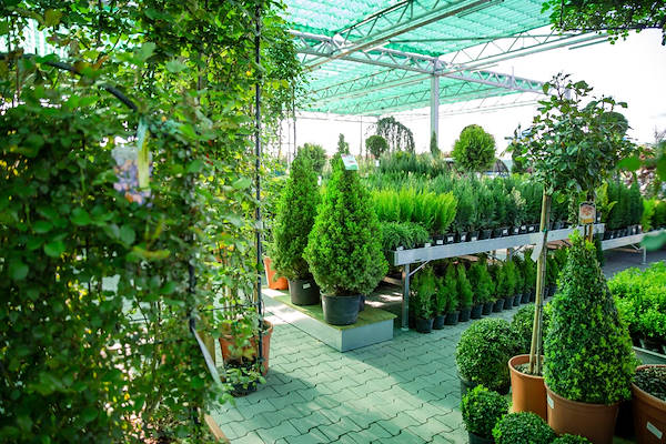 Area esterna