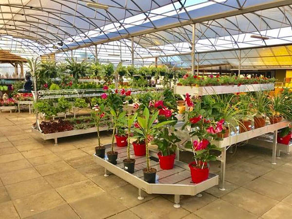 Il restyling di Alfa Garden Center in Portogallo