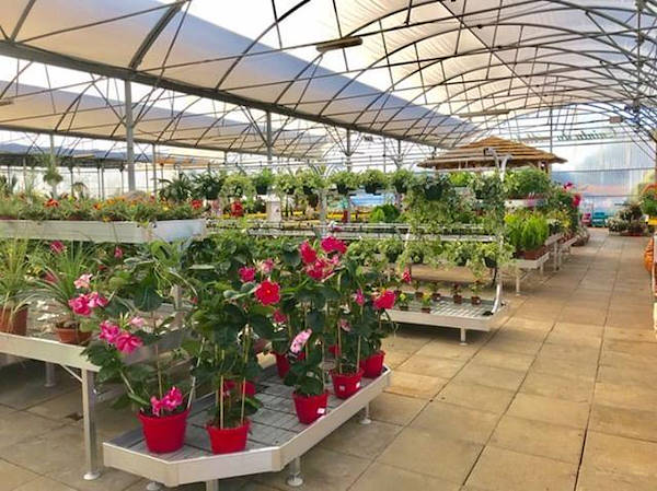 Il restyling di Alfa Garden Center in Portogallo