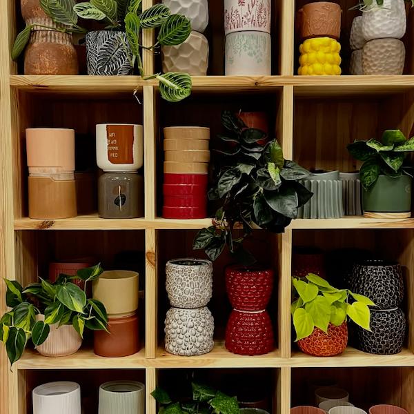 Étagères en bois avec compartiments