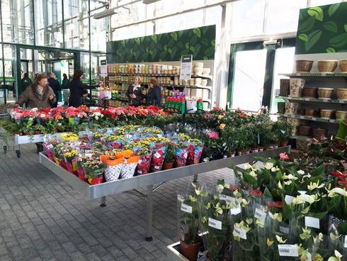 Inauguración del nuevo Centro de Jardinería Darwin