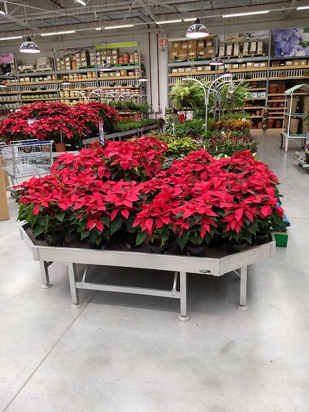 Inauguran en México los nuevos centros de bricolaje Sodimac