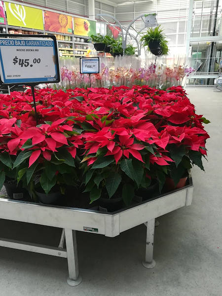 Inauguran en México los nuevos centros de bricolaje Sodimac